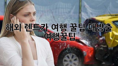 해외 렌트카 여행 꿀팁 대방출! 🚗💨 #여행꿀팁