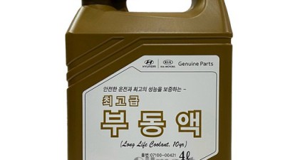 내 K5, 냉각수 싹 갈았어요! 꿀팁 대방출 💖