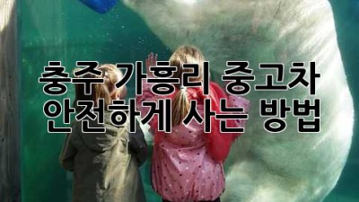 충주 가흥리 중고차 안전하게 사는 방법