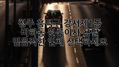 청주 흥덕구 강서제1동 비하동 원룸이사 용달, 믿음직한 업체 선택하세요!