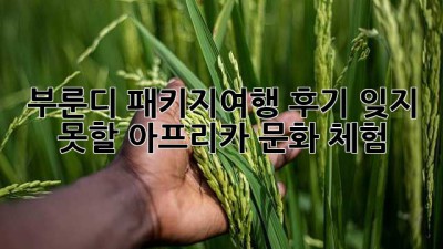 부룬디 패키지여행 후기: 잊지 못할 아프리카 문화 체험